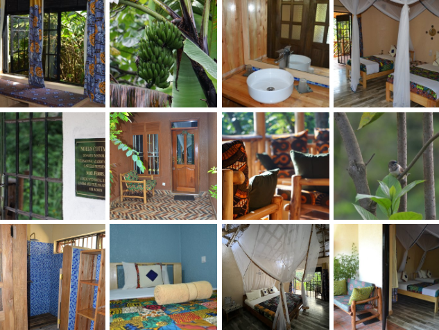3 days gorilla trekking safari in Uganda